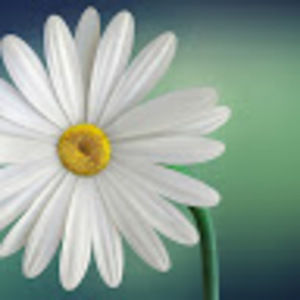 Meet your Posher, Paige